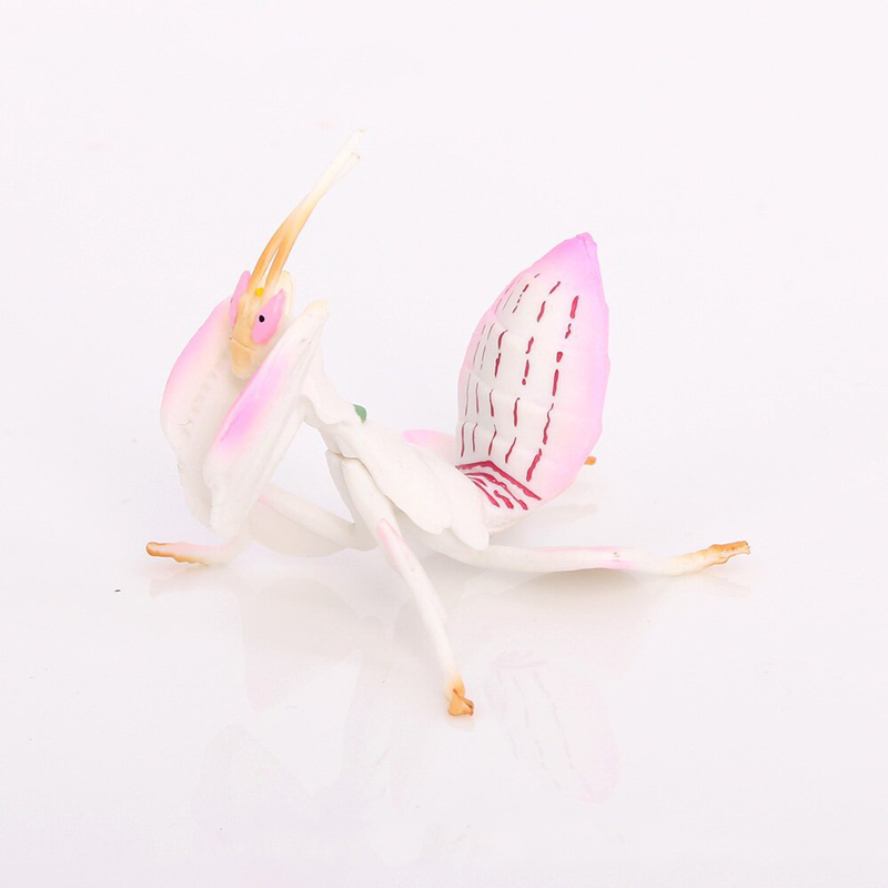 Orchid Kids Education - Realistyczny model zwierzęcia, różowa orkidea, figurka