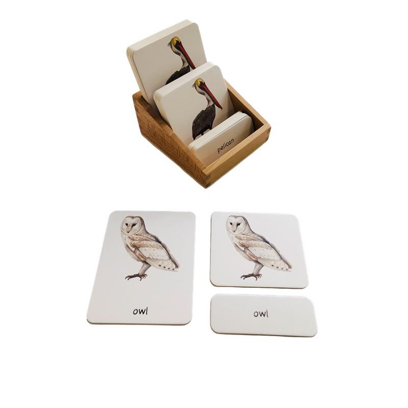 Montessori Shelf Toy - Materiały językowe Montessori 3 części karty
