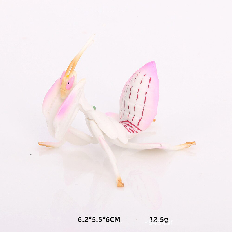 Realistyczny model zwierzęcia, – Orchid Kids Education recenzja i cena