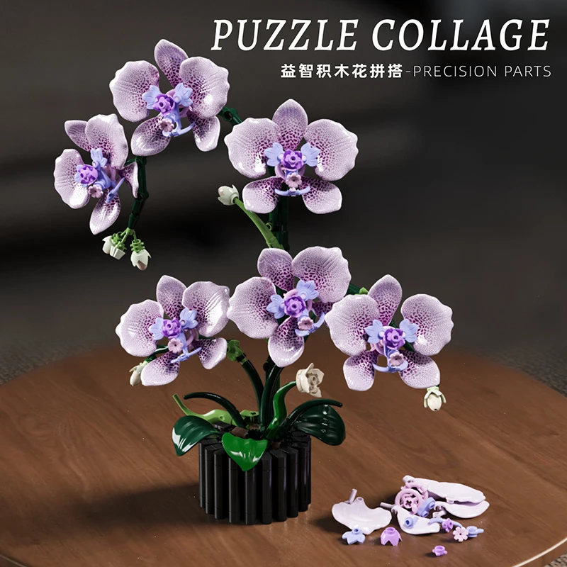 Model orchidei w doniczce, klo – Orchid Kids Education recenzja i cena