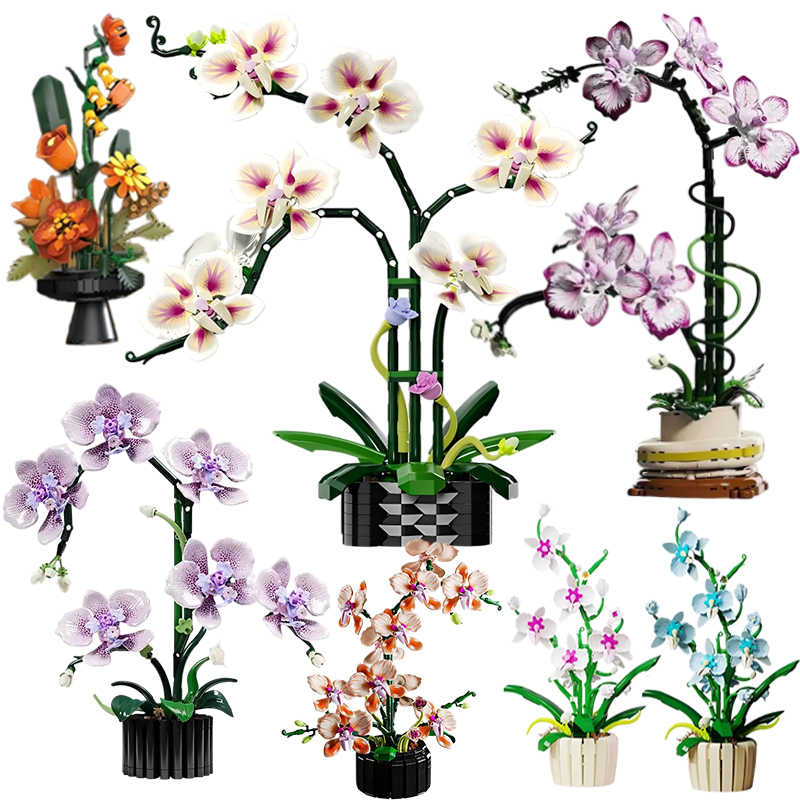 Model orchidei w doniczce, klo – Orchid Kids Education recenzja i cena