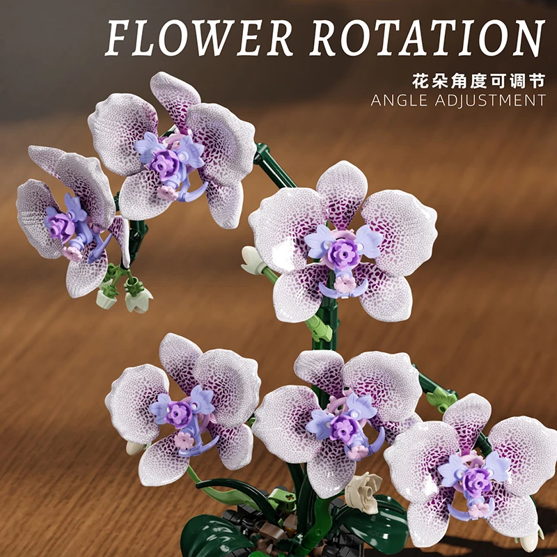 Model orchidei w doniczce, klo – Orchid Kids Education recenzja i cena