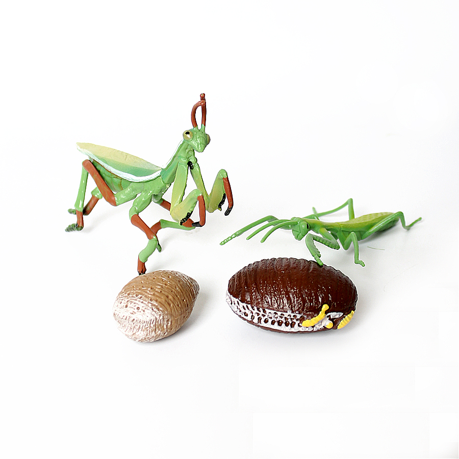 Realistyczna figurka modliszki – Orchid Kids Education recenzja i cena